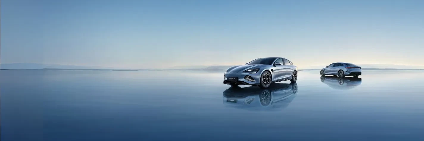 ag真人平台 Auto elettriche