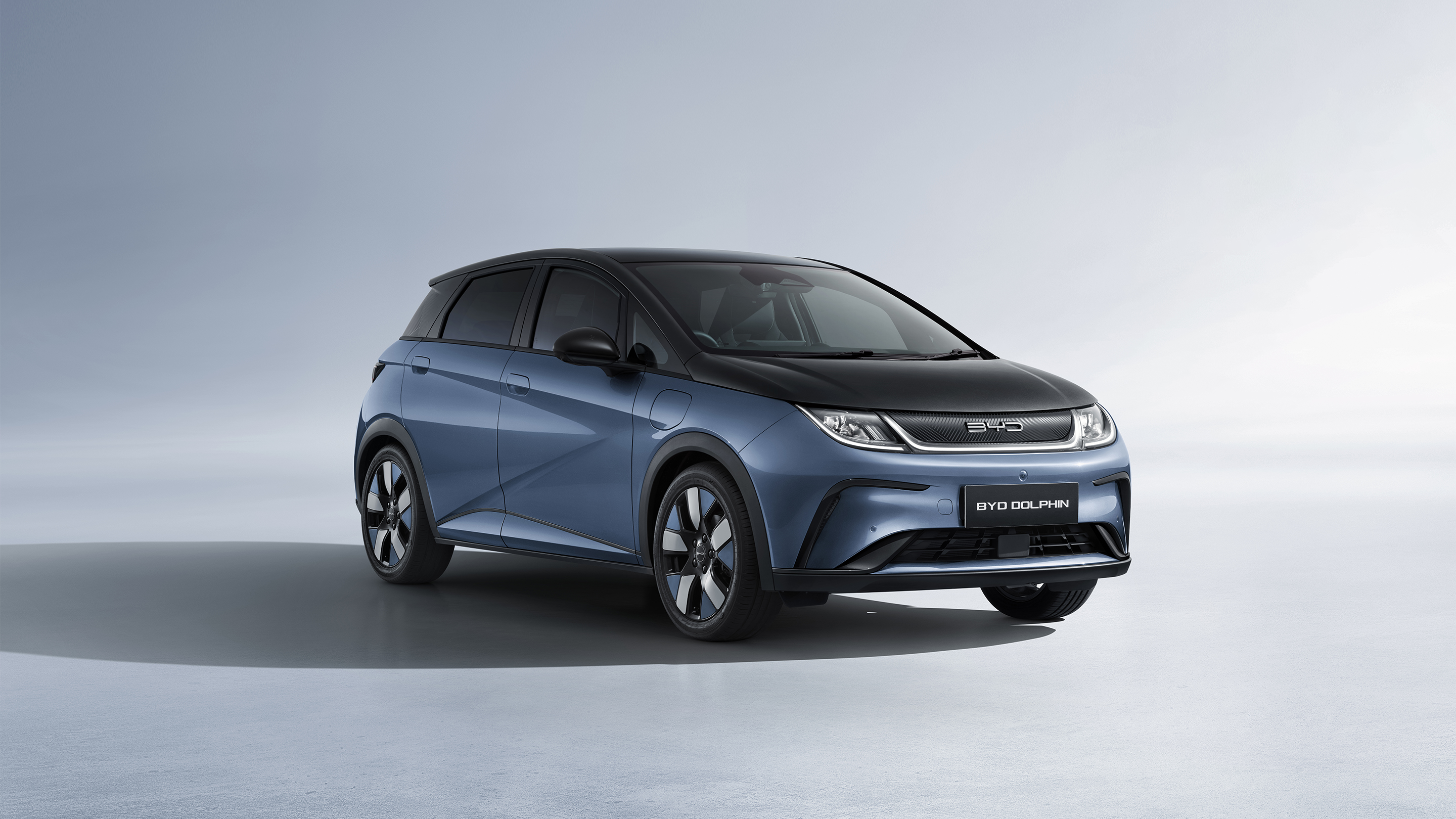 ag真人平台 Dolphin